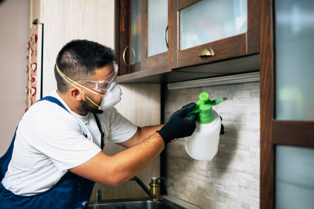 Reliable Swansboro, NC Pest Control Solutions