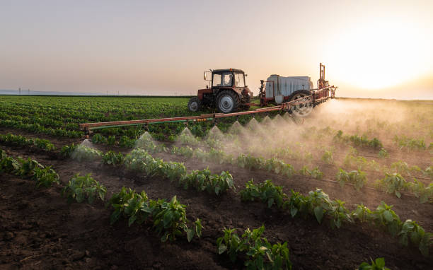 Best Pest Removal Services  in Swansboro, NC