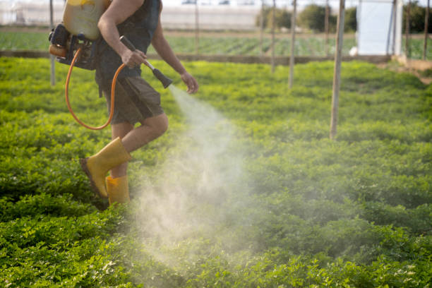 Best Best Pest Control Near Me  in Swansboro, NC