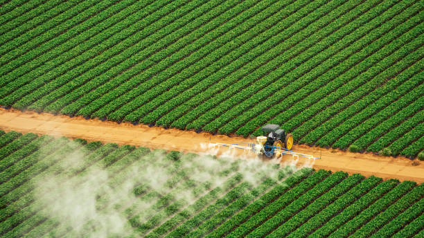 Best Pest Inspection Near Me  in Swansboro, NC