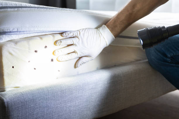 Best Affordable Pest Control Services  in Swansboro, NC