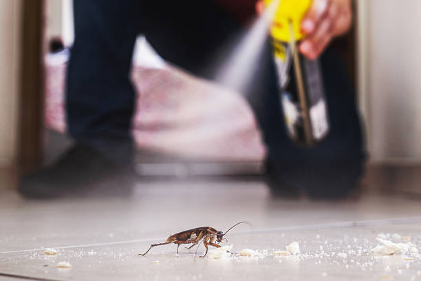 Best Pest Control Near Me in Swansboro, NC